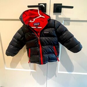 Patagonia Hi-Loft Down Sweater Hoodie